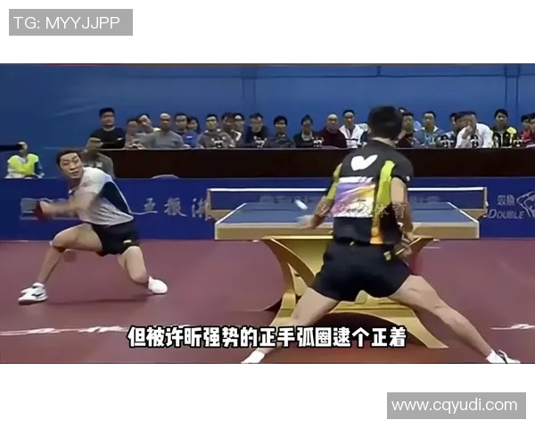 2015年乒乓球赛许昕对决张宇镇精彩瞬间回顾与分析 2015年乒乓球赛许昕对决张宇镇精彩瞬间回顾与分析