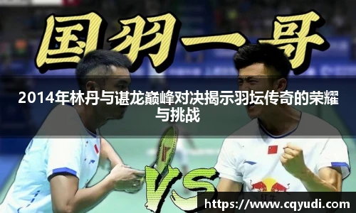 2014年林丹与谌龙巅峰对决揭示羽坛传奇的荣耀与挑战